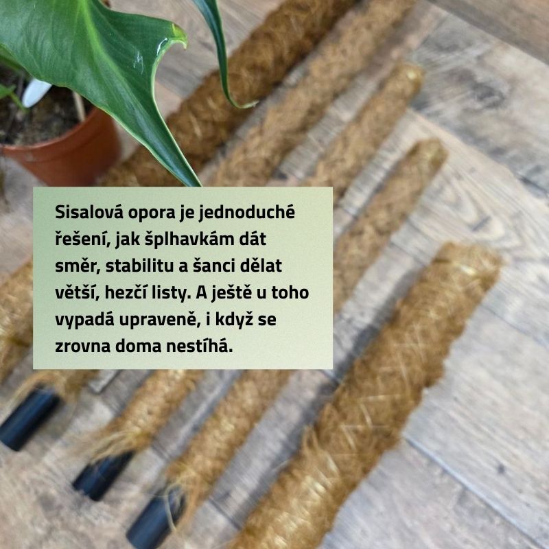 Sisalová opora mix velikostí